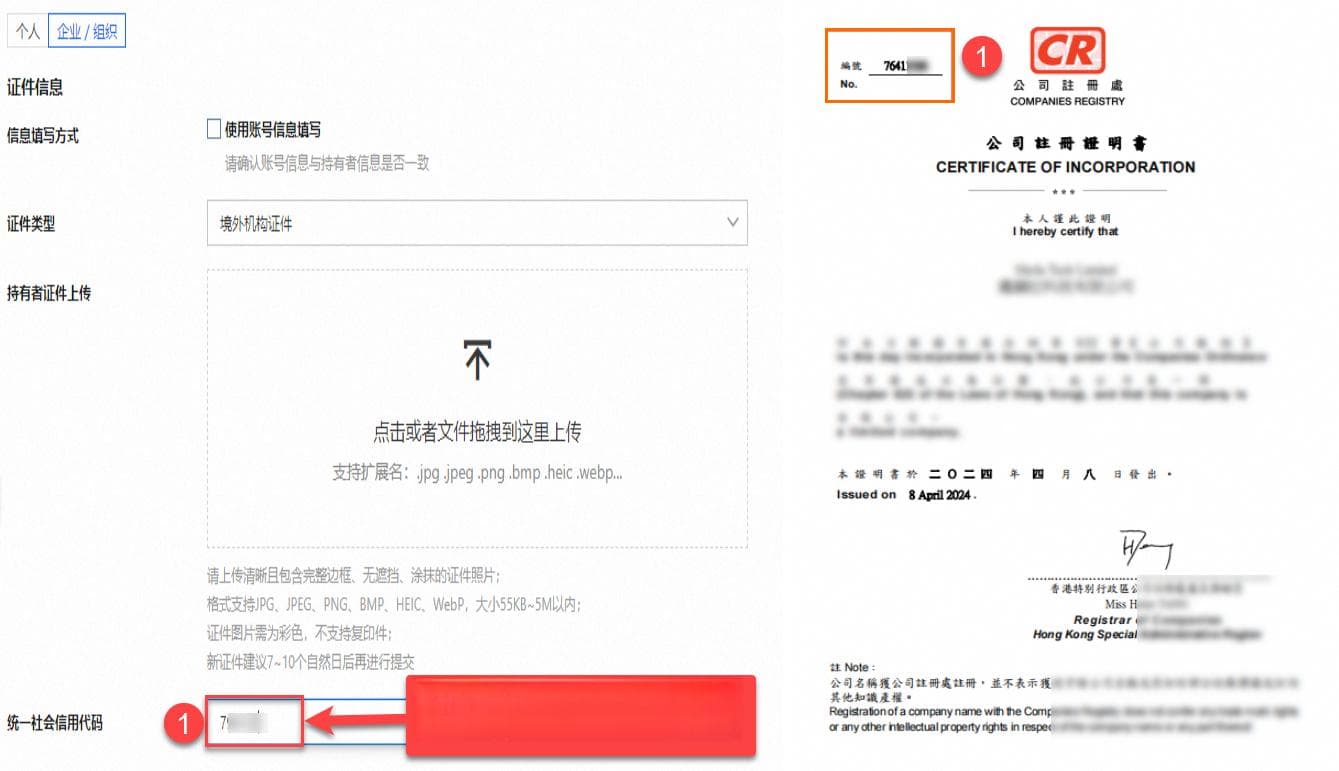 域名实名认证填写指南（组织）