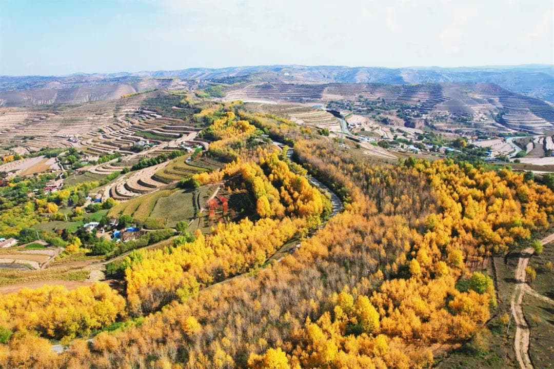 白银秋色：陇原大地上的多彩画卷
