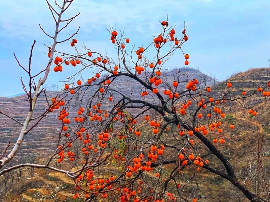 《寒窑赋》的永恒智慧