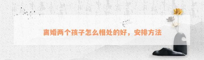 离婚后两个孩子如何相处？这9个方法值得参考