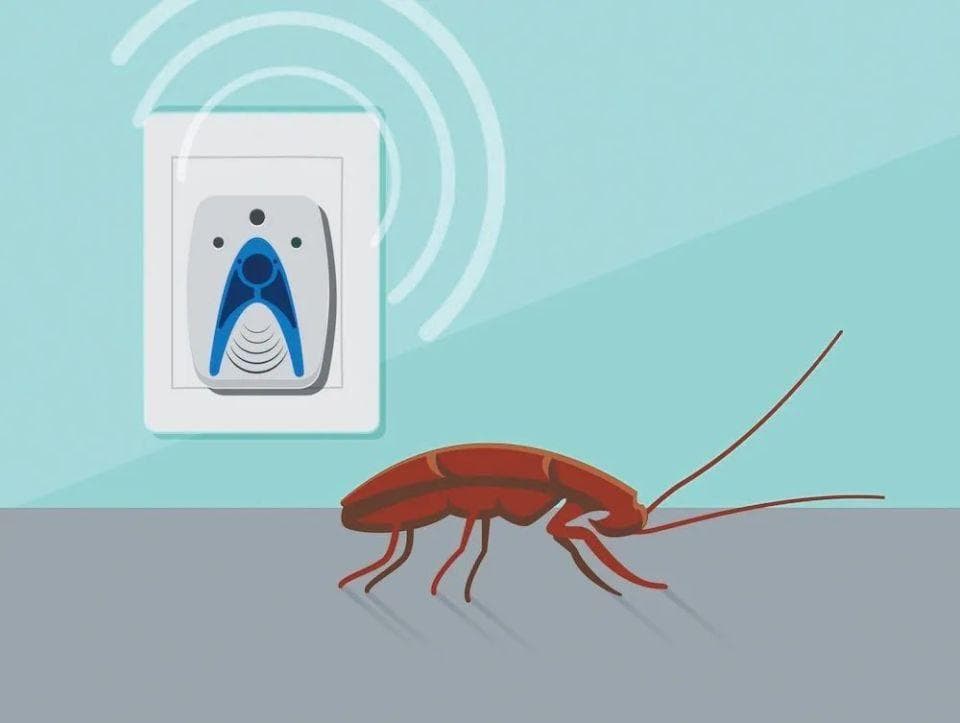 捷克科学家实验证实：无线电波让蟑螂生物钟变慢