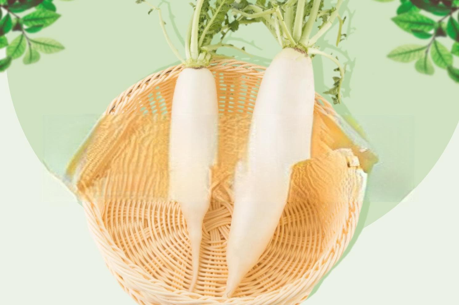 白萝卜食疗方