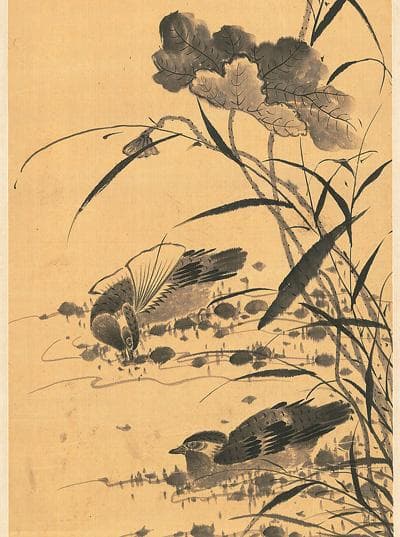 南京博物院展出百件明清才女作品，展现古代女性艺术成就