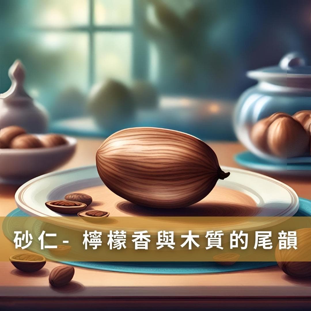 砂仁：从古至今的香料之选