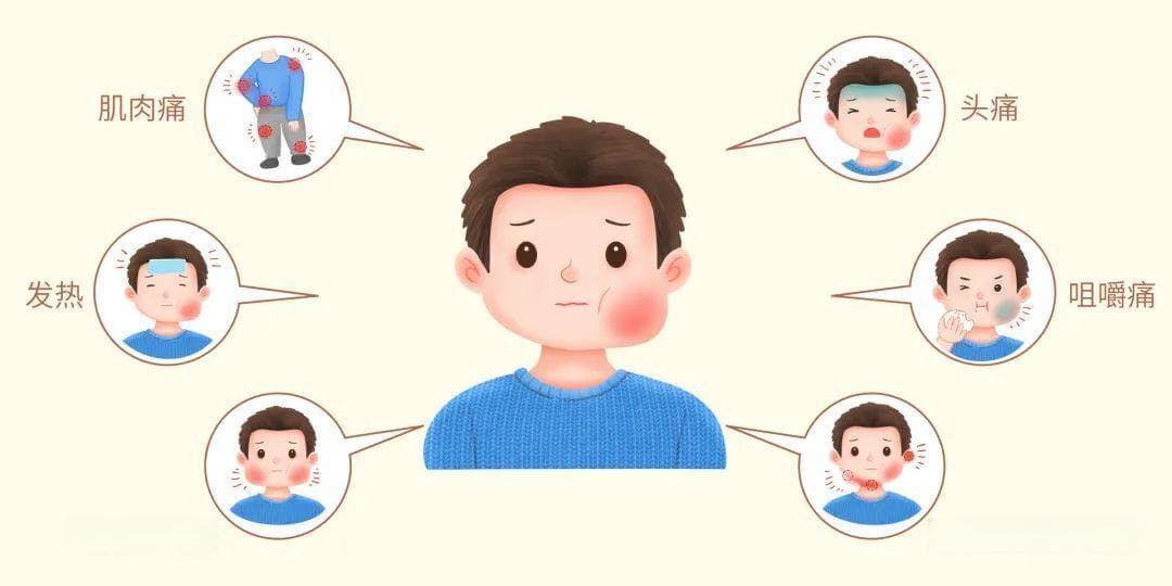 儿童腮腺炎/腮腺肿大 之 【常见型】