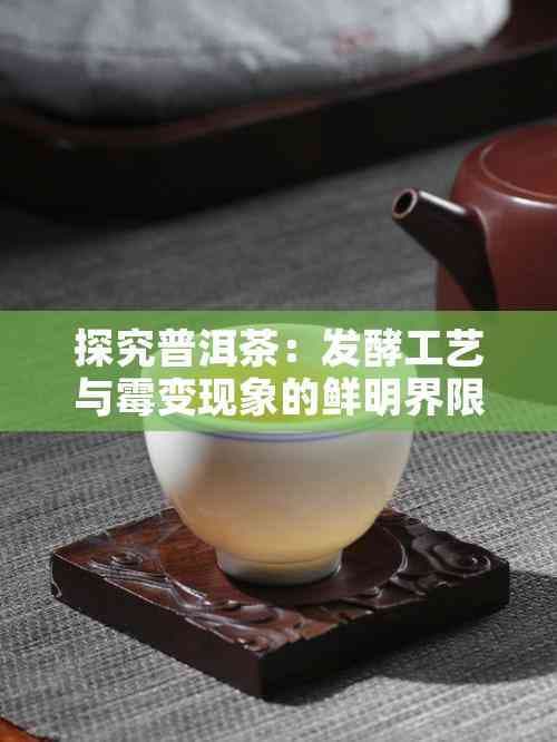 探究普洱茶：发酵工艺与霉变现象的鲜明界限
