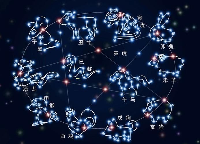 日柱戊子女命格如何解析