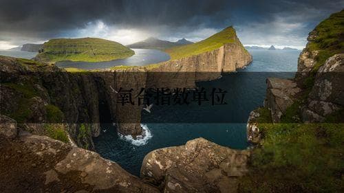 氧合指数单位