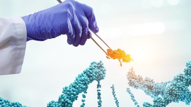 国际上如何进行转基因生物食用安全评价？