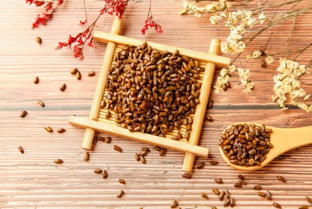 决明子的功效与应用：从传统到现代的全面解析