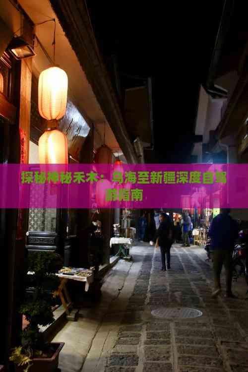 探秘神秘禾木：乌海至新疆深度自驾游指南
