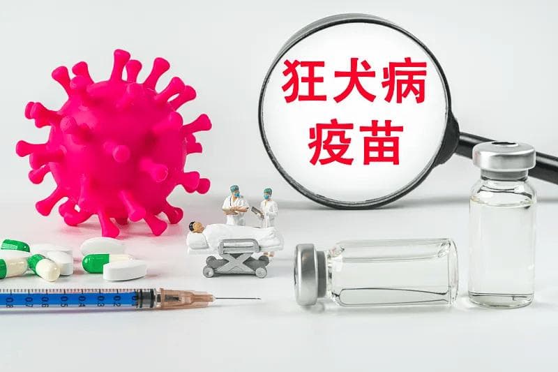 被抓伤或咬伤后，如何预防狂犬病发生？