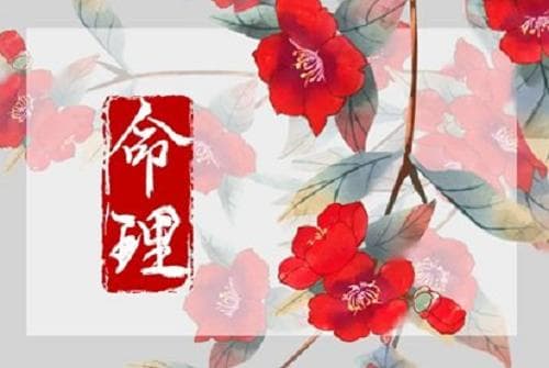 辛未日是什么意思？辛未日出生的人命运详解