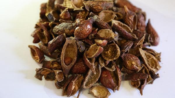 金樱子入药要切开去籽吗