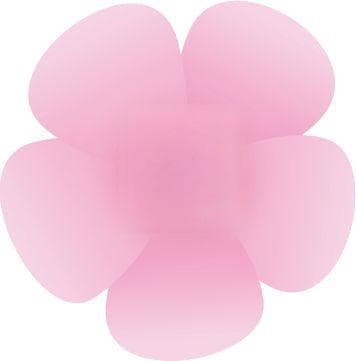 对虾"软壳"有黑斑？到底是什么原因引起的？