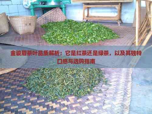 金骏眉茶叶品质解析：它是红茶还是绿茶，以及其独特口感与选购指南