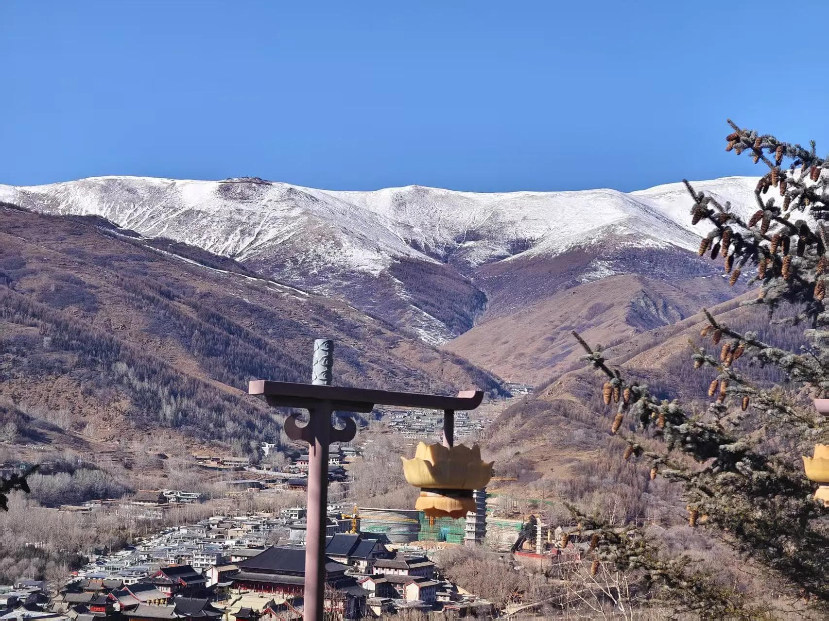 2025年五台山旅游攻略：自然风光与文化体验完美融合