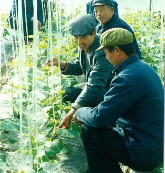 从卖菜到卖技术，“蔬菜之乡”寿光走向全球