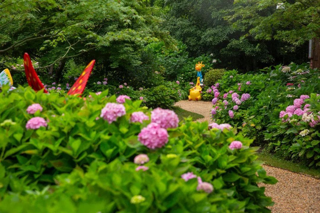 收下这份赏花指南，来共青森林公园探寻仲夏之美