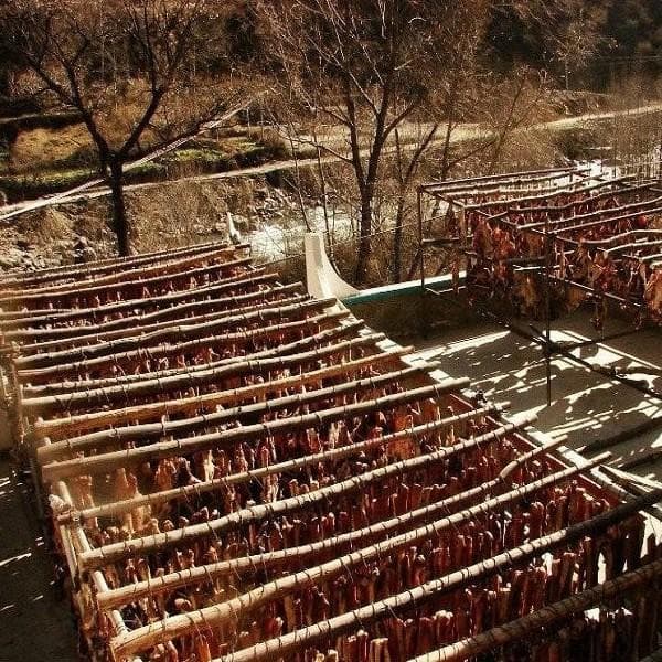 丹巴香猪腿：高原特色美食的制作工艺与食用价值