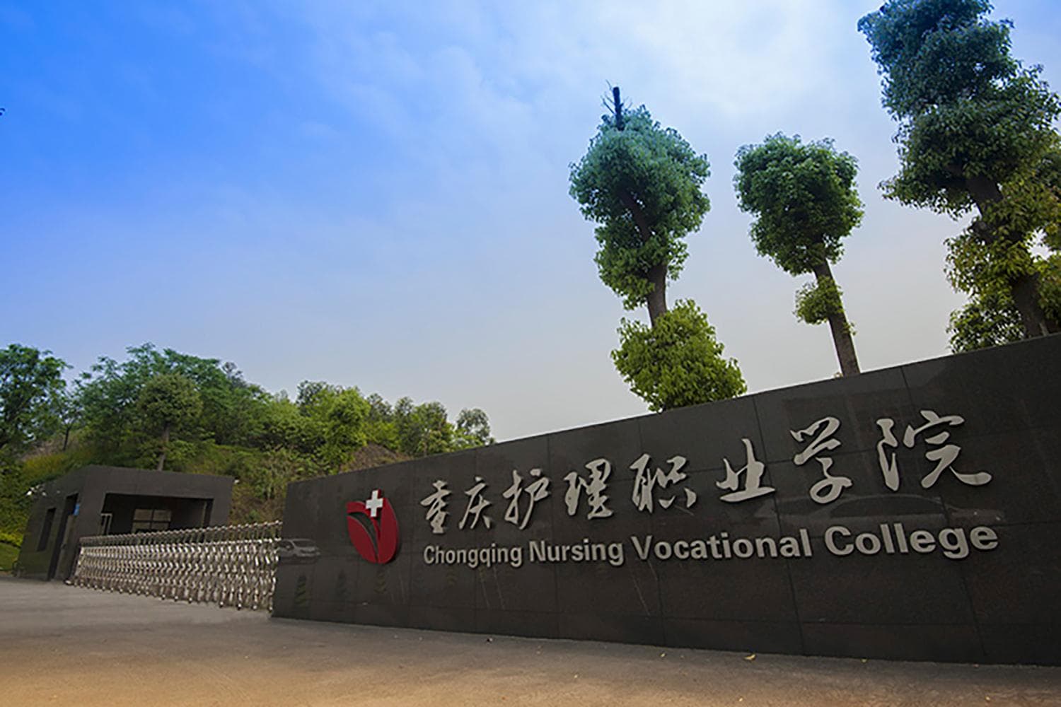 2024重庆护理职业学院录取分数线及位次一览：重庆考生2025填报参考