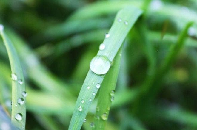 雨水至，春耕忙！这些农事要点要记牢
