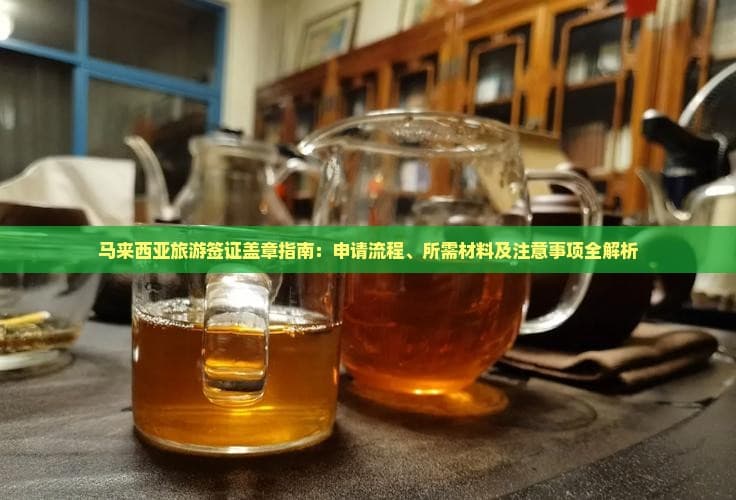 马来西亚旅游签证盖章指南：申请流程、所需材料及注意事项全解析