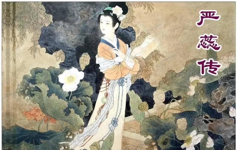严蕊的生死爱情被朱熹迫害？你被误导太久！她参与了很多违法活动