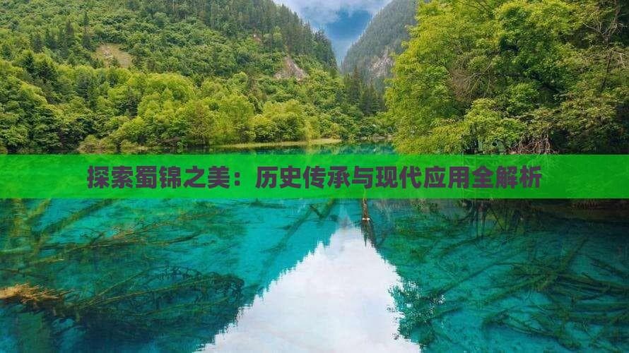 探索蜀锦之美：历史传承与现代应用全解析