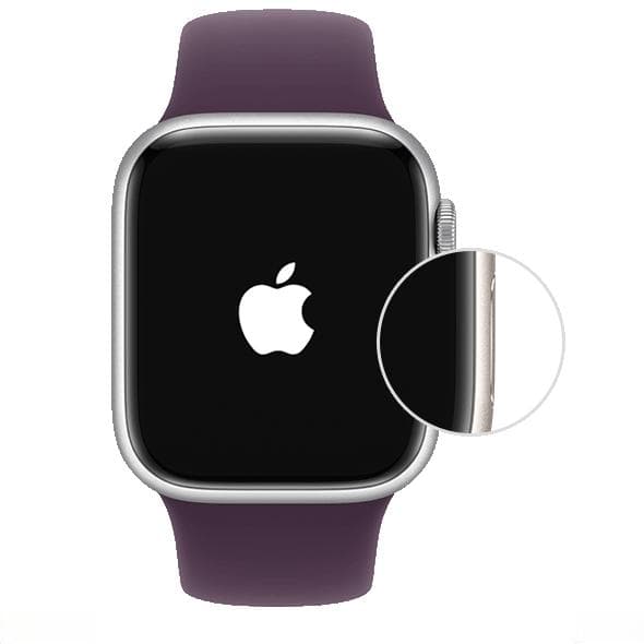 为家庭成员设置 Apple Watch