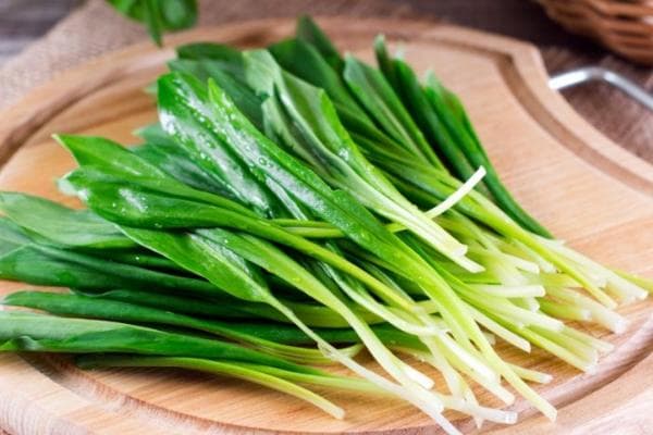 小孩子能吃韭菜吗？几岁的小孩子能吃韭菜
