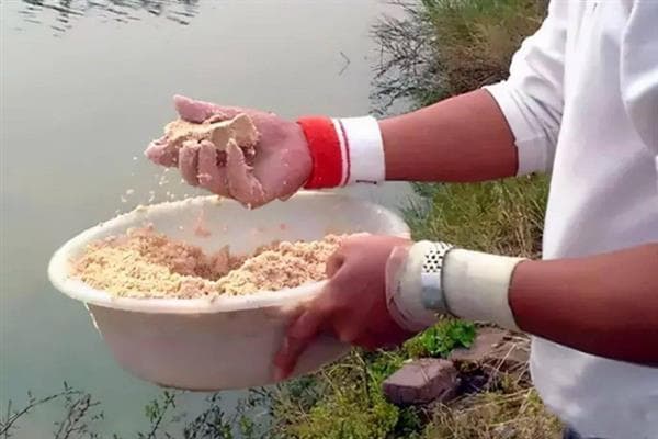 垂钓草鱼有什么技巧，将水草区作为首选钓位