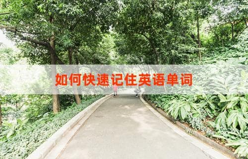 如何快速记住英语单词：实用技巧与策略