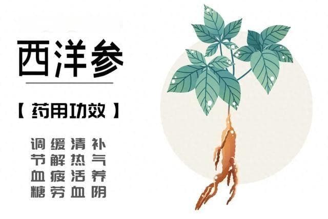 西洋参虽好，并非“百应之物”