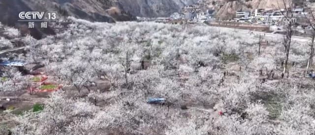 春分时节气温起伏大，专家提醒做好健康防护