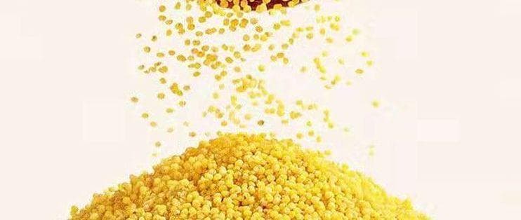 研究证实：小米含糖量仅为大米一半，血糖患者福音