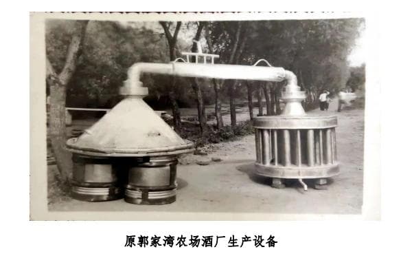 碧春酒业：从往昔到今朝的酱香传奇