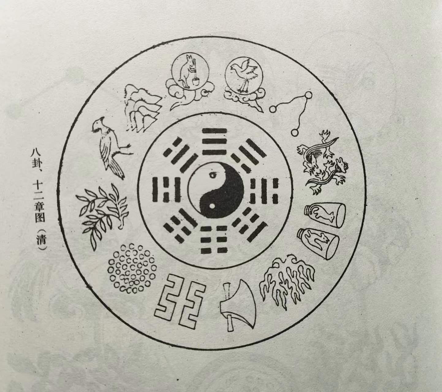 鸟与中国社会