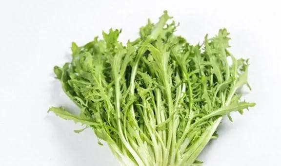 挑战一个月不同菜品搭配—苦菊的家常做法