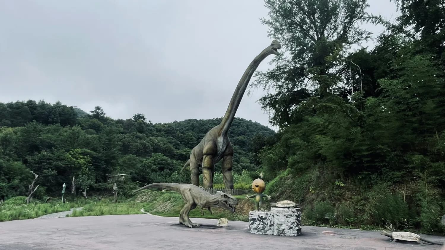 朝阳化石谷：探寻“第一朵花”与“第一只鸟”的诞生地