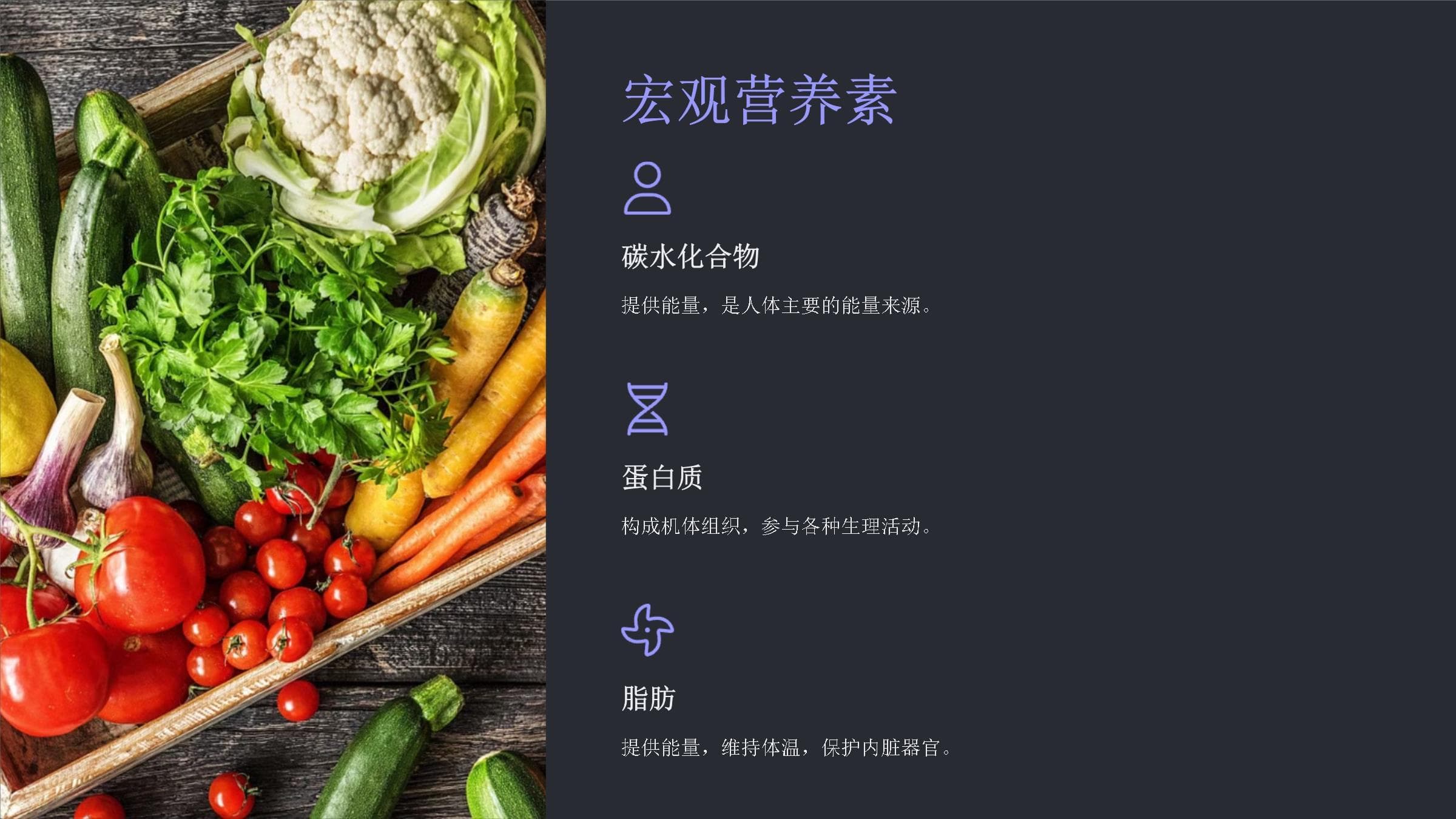营养素与能量：全面解析人体必需物质及其功能