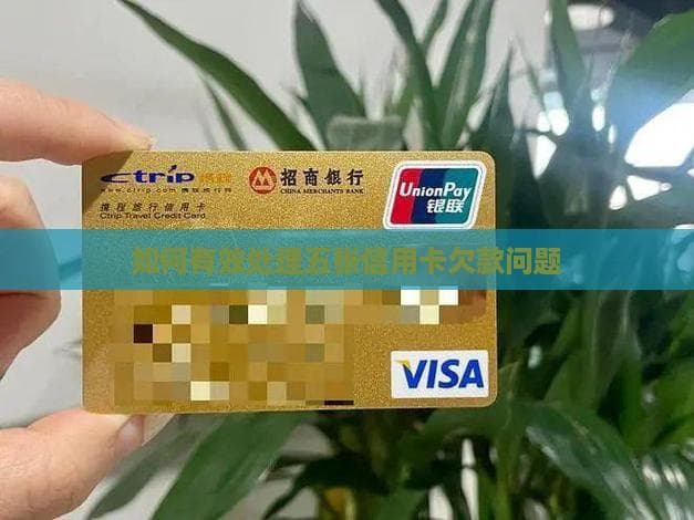 如何有效处理五张信用卡欠款问题