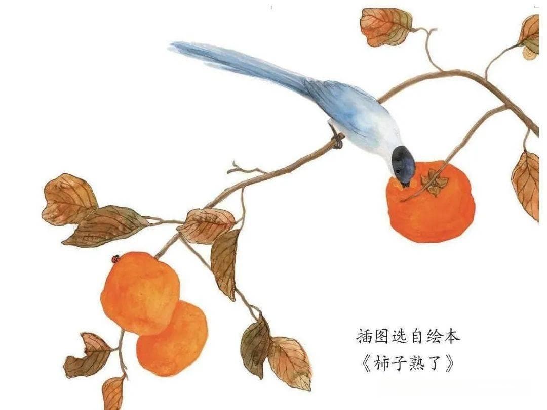 绘本与幼儿园一日活动有效融合路径初探