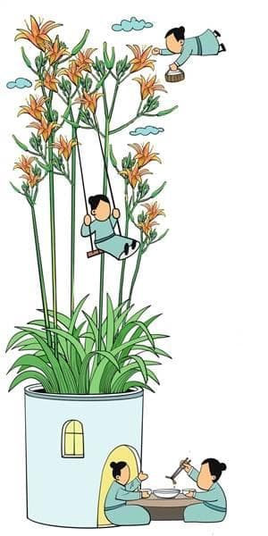黄花菜的诗话与土话