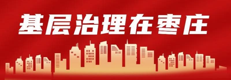 从"洪水走廊"到"鱼米之乡"：党建引领下的乡村治理实践