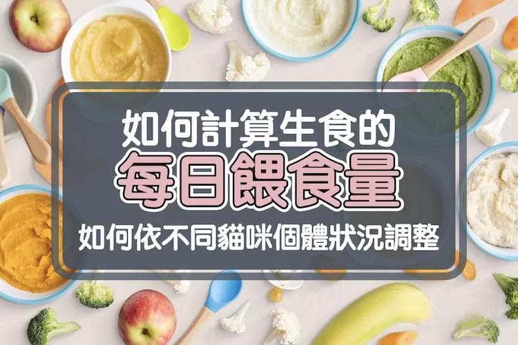 如何计算生食的每日喂食量｜如何根据猫咪状况调整