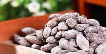 揭开葵瓜子之谜：从植物特征到文化意义的全面解读