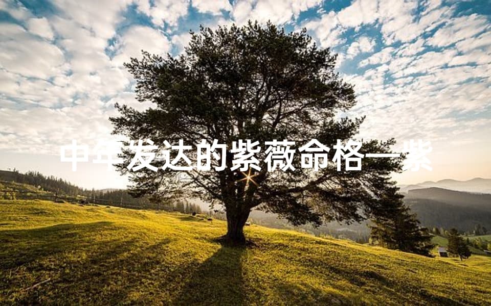 中年发达的紫薇命格—紫薇斗数看晚年生活
