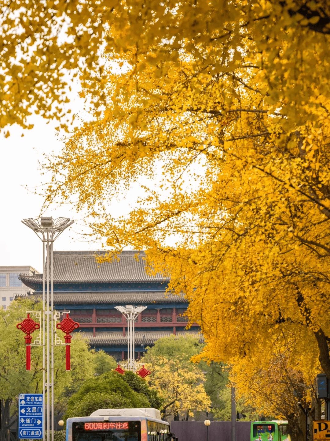 春节双人西安六日游：预算规划与行程安排