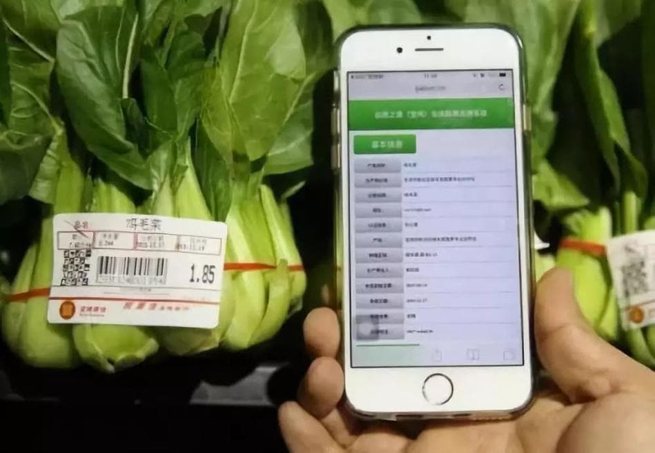 农业透明度：可追溯系统如何重塑农业行业